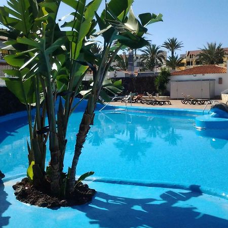Paraiso Royal Dany & Pina Playa de las Americas (Tenerife) Exterior foto